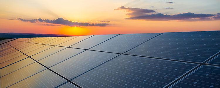 Top 10 Solar Manufacturers in India